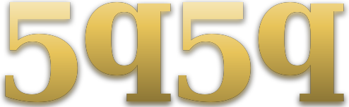 5q5q logo